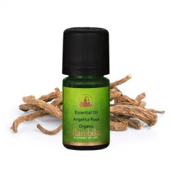 ANGELICA ROOT ESSENTIAL OIL, ORG
