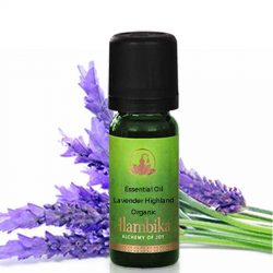 Lavender Highland, Wild Essential Oil, Org