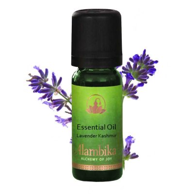 Lavender Kashmir Essential Oil, Org