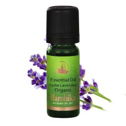 Lavender (Spike Lavender) Essential Oil, Org